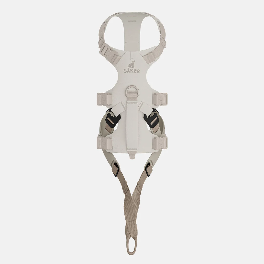 Traction 001 - Image 4